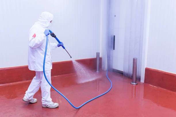 Pre-Holiday Cleaning in Northport, NY